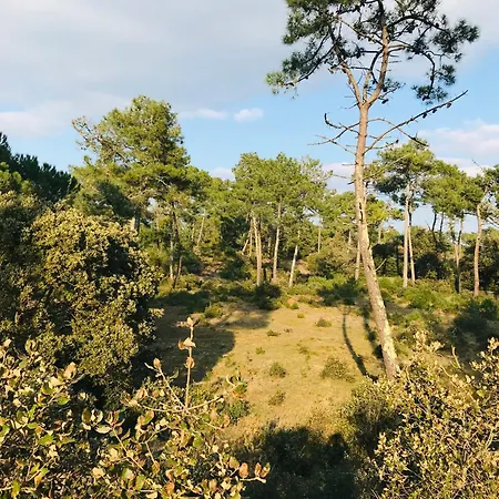 Les Joncs, T2 Lumiere Et Appartement Saint-Hilaire-de-Riez